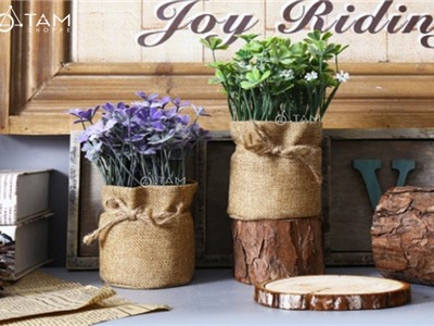 Chậu hoa nhỏ để bàn cỏ ba lá may mắn số 94